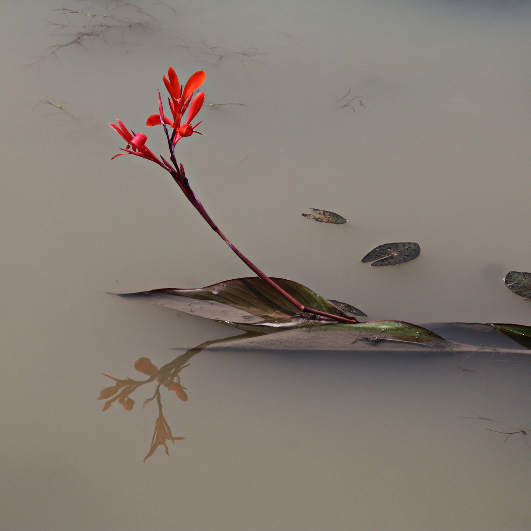 Sand Tray Grief and Loss